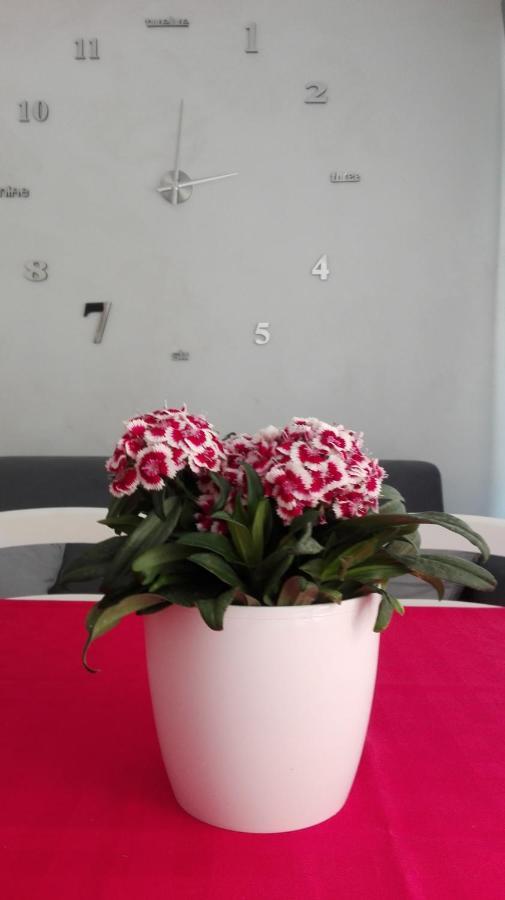 Sweety House Bed & Breakfast San Giovanni Gemini Exterior photo