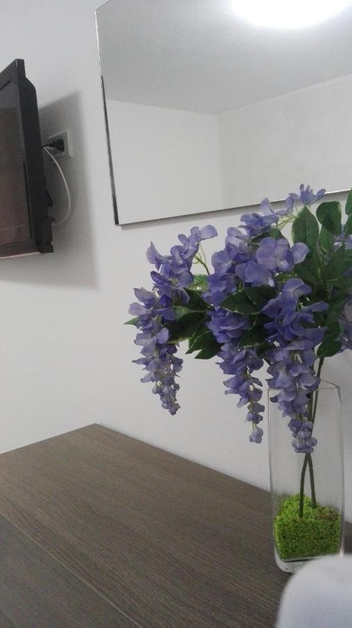 Sweety House Bed & Breakfast San Giovanni Gemini Exterior photo